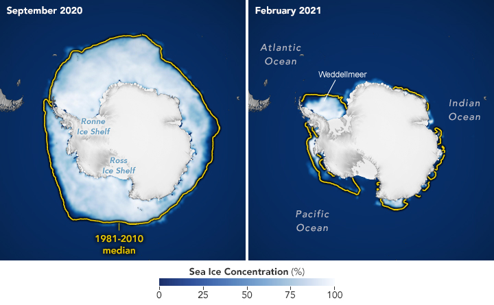Datei:Antarctic nsidc 2021.png