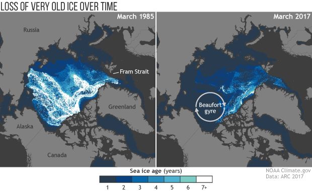 Datei:Arctic old ice lost.jpg