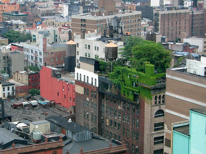 Datei:Green roof Manhattan.jpg