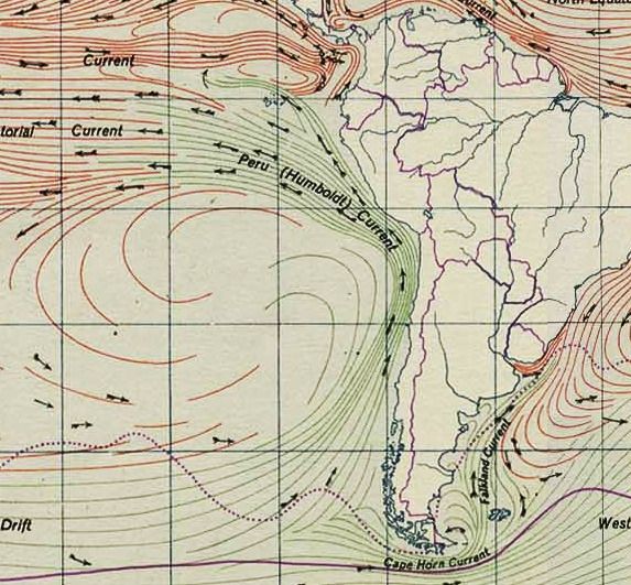 Datei:Humboldt Current.jpg