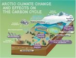 Auswirkungen des Klimawandels auf den arktischen Kohlenstoffzyklus Lizenz: CC BY-NC-SA