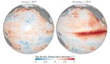 Meeresoberflächentemperatur Jan. und Nov. 2015 Neutrale und El-Niño-Bedingungen Lizenz: public domain