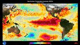 El Niño Jan. 2016 Meeresoberflächentemperatur Lizenz: public domain