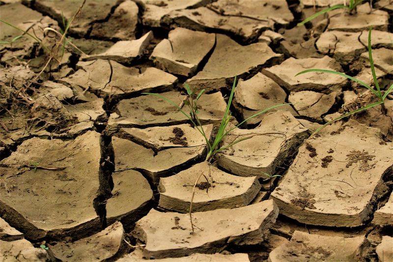 Datei:India dry soil.jpg