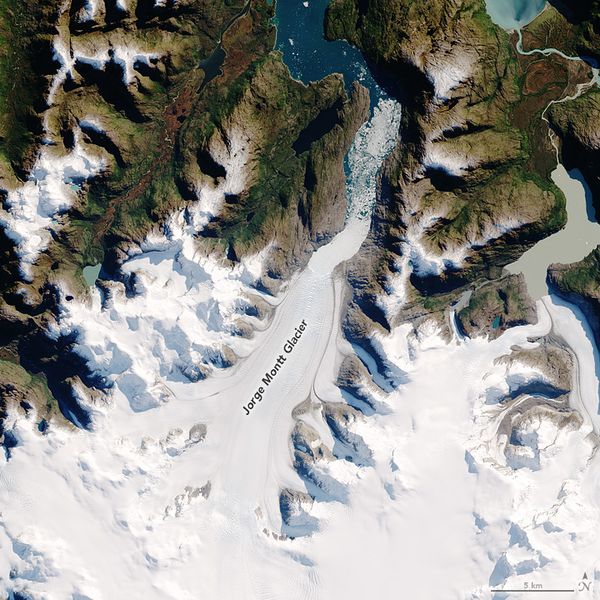 Datei:Jorgemontt glacier.jpg