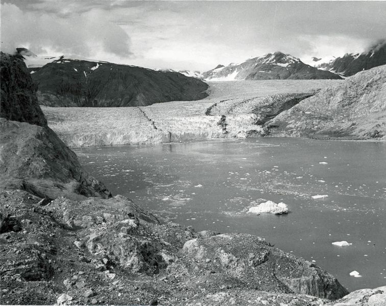 Datei:Muir Glacier 1950.jpg