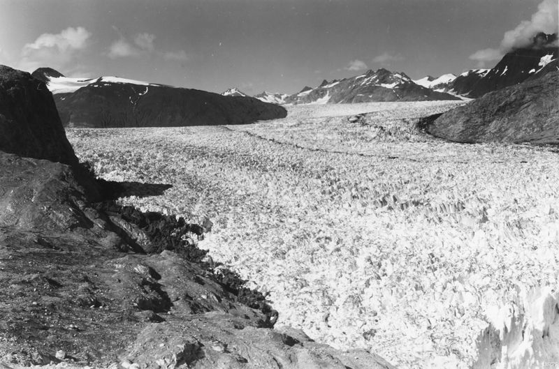 Datei:Muir Riggs Glacier 1941.jpg