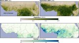 Vegetation und Niederschlag im Sahel Vegetationsindex und Niederschlag in mm/Tag in einem trockenen und einem feuchten Jahr. Lizenz: Public domain
