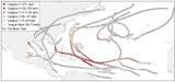 Hurrikan-Zugbahnen 2017 Nordatlantik Lizenz: NASA public domain
