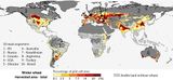 Die wichtigsten Weizenanbaugebiete der Welt und die 10 wichtigsten Exportnationen 2009-2012 in absteigender Reihenfolge Hellgrau: Ackerland ohne Weizenanbau. Lizenz: CC BY-NC