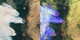 Waldbrände in Oregon 2020 Satellitenbild und Infrarotbild vom 9. September 2020 Lizenz: CC BY-SA 3.0 IGO