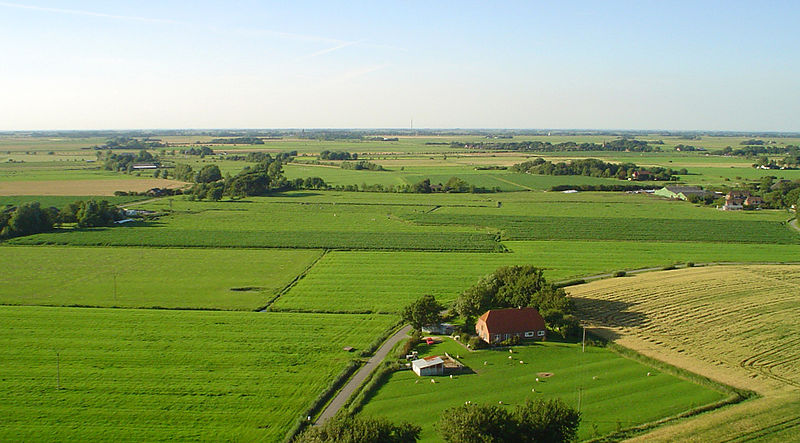 Datei:Agrarlandschaft-Eiderstedt.jpg