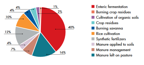Datei:Anteil landwirtschaftlicher Prozesse an Emissionen.png