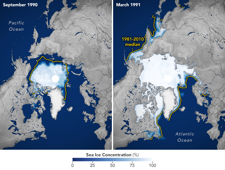 Datei:Arctic nsidc 1991.png