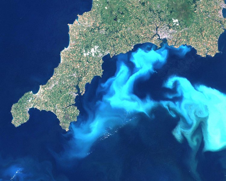 Datei:Cornwall algenbluete.jpg