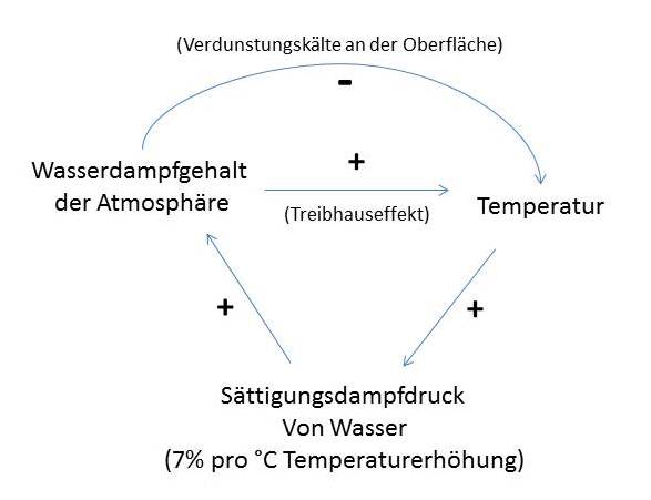 Datei:Feedback DiagrammWasserdampf.jpg