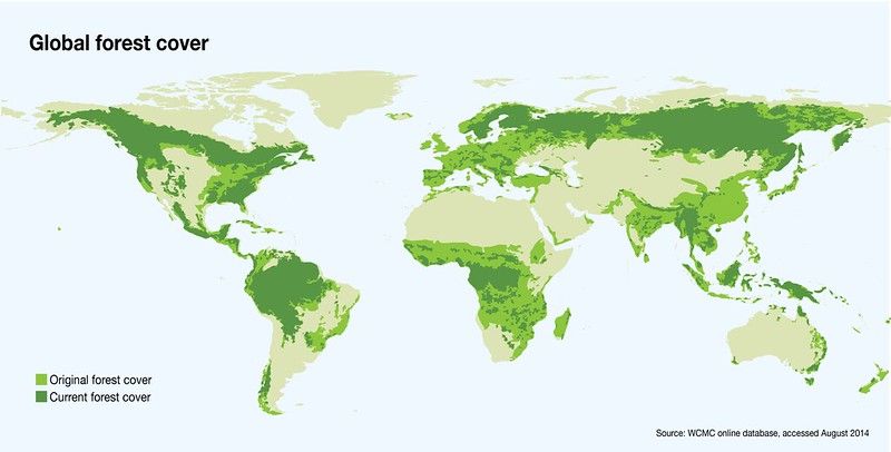 Datei:Global forest cover.jpg