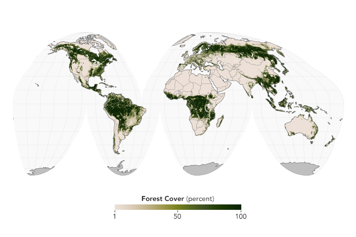 Datei:Globaltreecover10pct 2000 2009.jpg