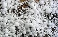 Datei:Hail Hagel.jpg