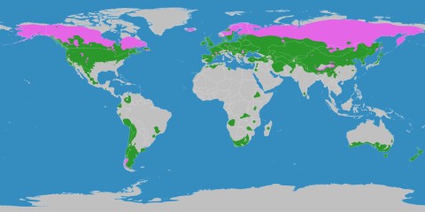 Datei:Klimagürtel-der-erde-gemäßigte-zone.jpg