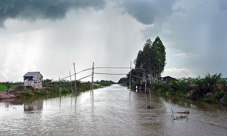 Datei:Mekong Delta Landschaft.jpg