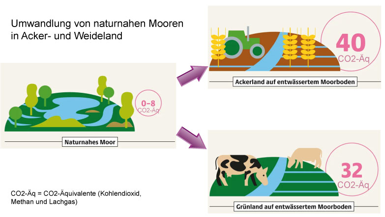 Datei:Moore-Umwandlung.jpg