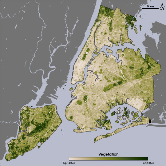Datei:NYC vegetation.jpg