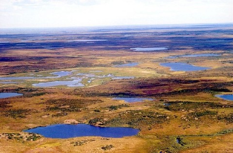 Datei:Ru200008050084.jpg