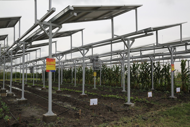 Datei:Solar crop production Italy2.jpg