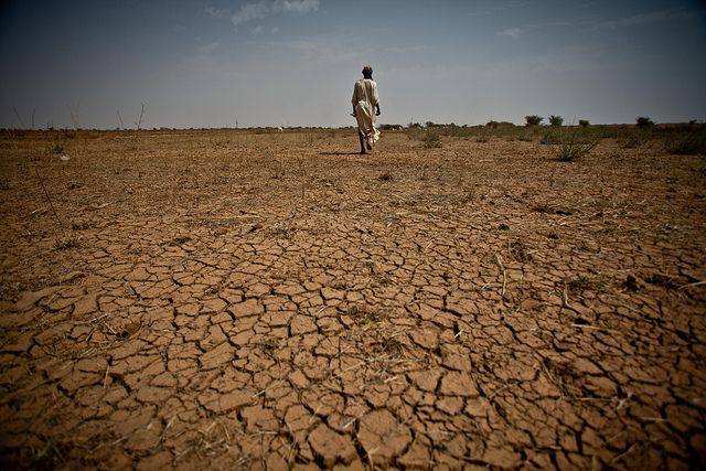 Datei:Trockene Böden Mauretanien.jpg