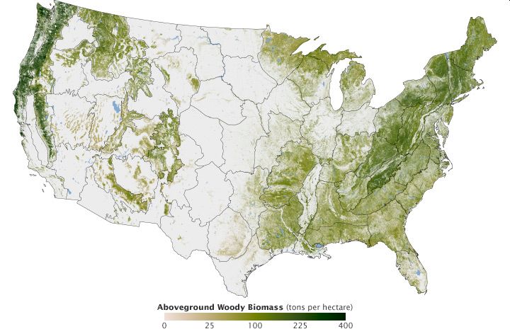 Datei:USA woody biomass.jpg