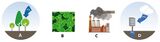 Methoden der CO2-Entnahme Lizenz: CC BY