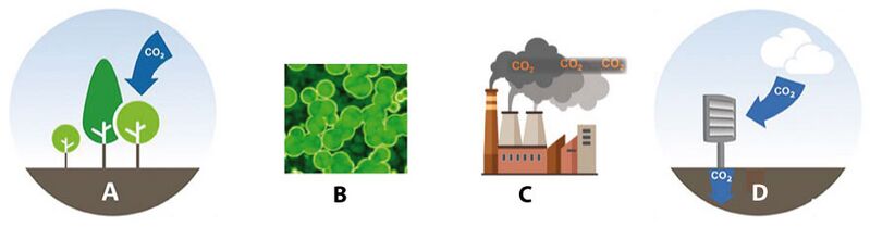 Datei:4-CO2-Entnahmen.jpg