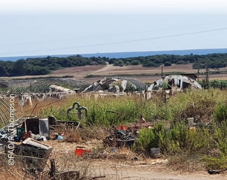 Datei:Abandoned greenhouses.jpg