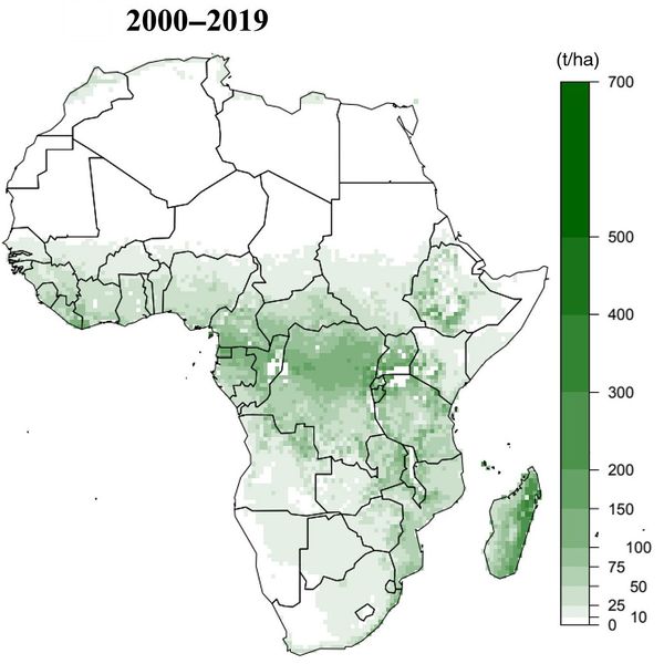 Datei:Africa aboveground biomass.jpg