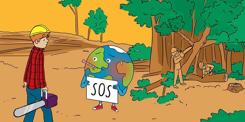 Datei:Amazon deforestation cc.jpg