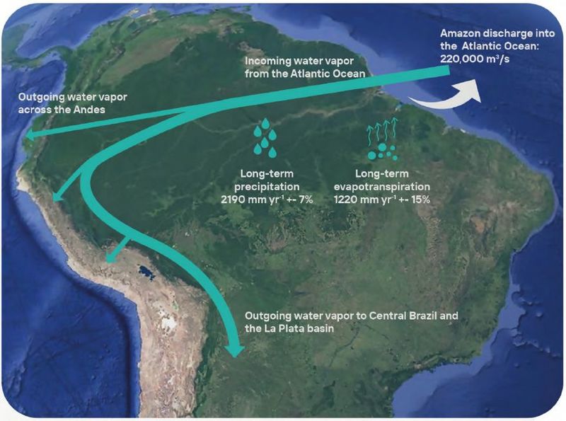 Datei:Amazon hydrologische Prozesse.jpg