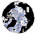 Oberflächenströmungen Meeresströmungen im Nordpolarmeer Lizenz: CC BY
