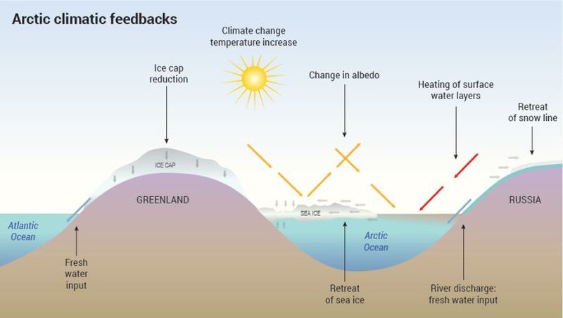 Datei:Arctic climatic feedbacks.jpg