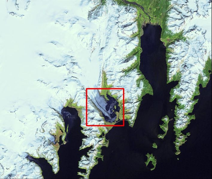 Datei:Bear Glacier landsat 020601.jpg