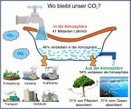 CO2-Kreislaufe in einer Badewannenanalogi Lizenz: CC BY