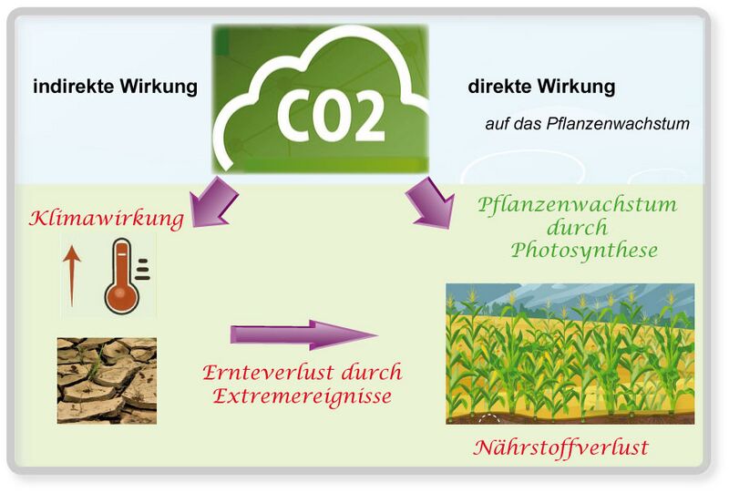 Datei:CO2 Düngung.jpg