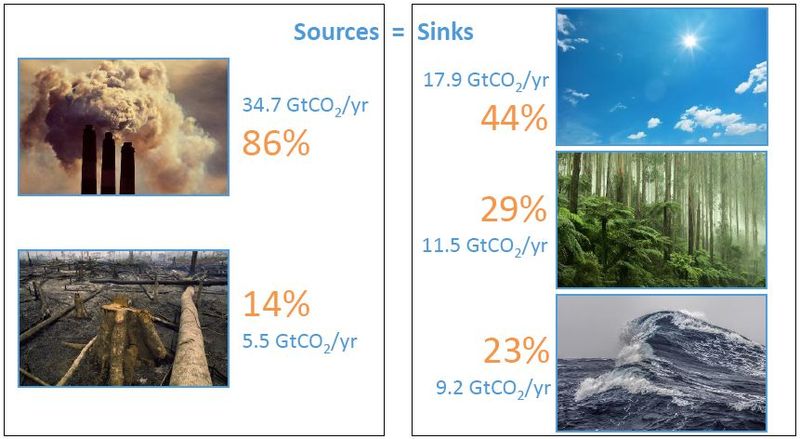 Datei:CO2 sources sinks.jpg
