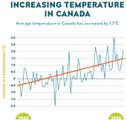 Änderung der Jahresmitteltemperatur Kanada 1948-2016 Lizenz: nicht-kommerziell