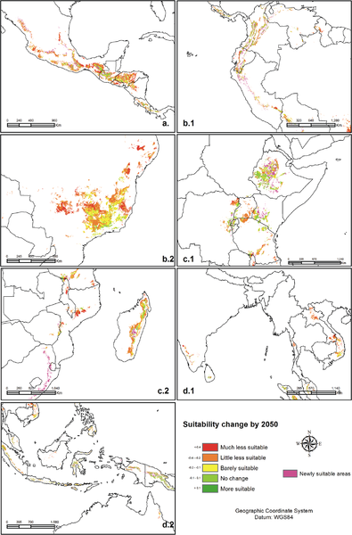 Datei:Changes in coffee suitability in 4 coffee growing zones by 2050s.PNG
