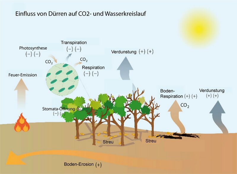 Datei:Dürre-CO2-Wasser.jpg