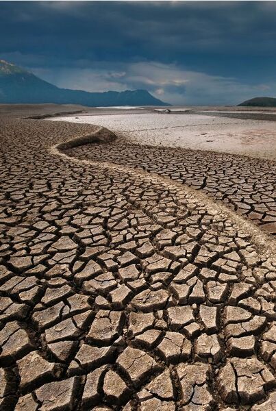 Datei:Dürre am Amazonas.jpg