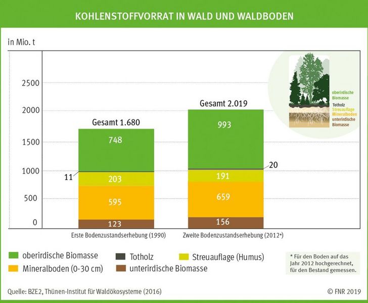 Datei:D C-Vorrat Wald Waldboden.jpg