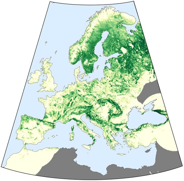 Datei:Forest cover present large.jpg