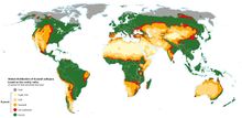 Global drylands subtypes.jpg